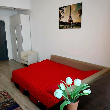 Апартаменты Garsoniera Centrul Bucurestiului Экстерьер фото